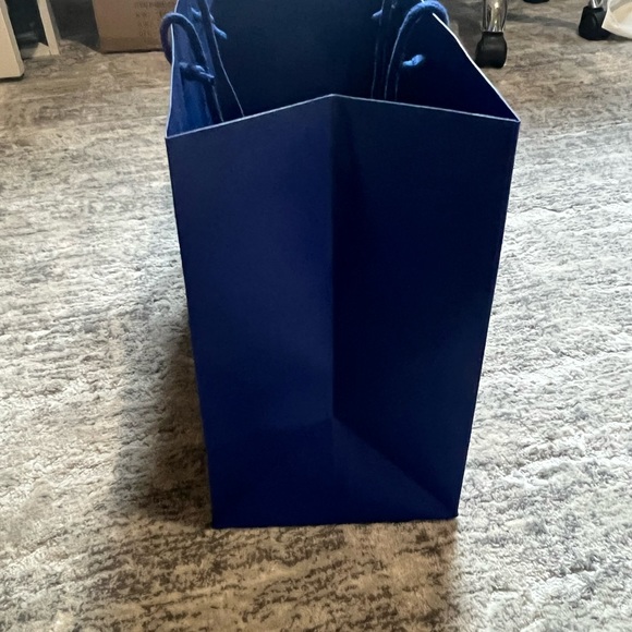 Stuart Weitzman Shopping Bag - given when purchased Nudistsong Heels - Picture 3 of 3